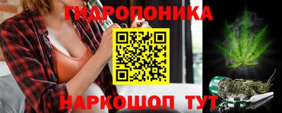 прущие крисы Гагарин