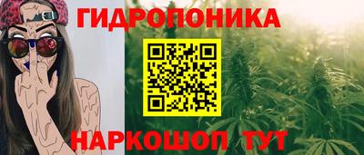 ГАЛЛЮЦИНОГЕННЫЕ ГРИБЫ Гатчина