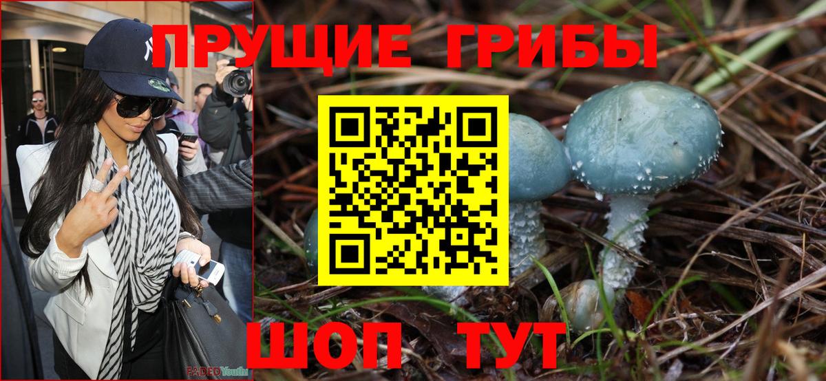 Псилоцибиновые грибы мицелий  Вход с VPN  Муром 
