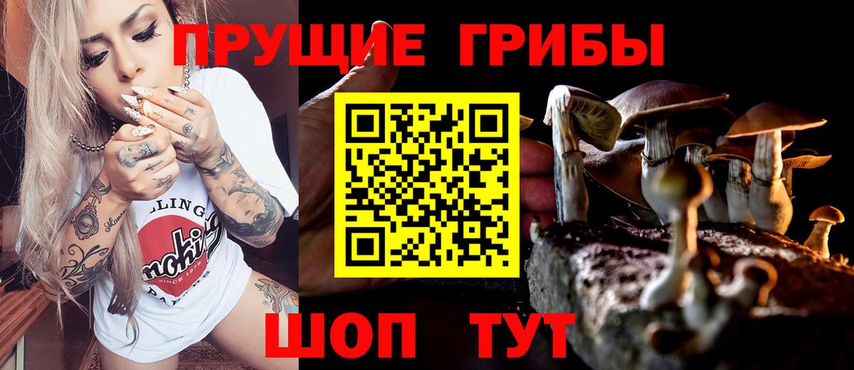 Галлюциногенные грибы мицелий Муром